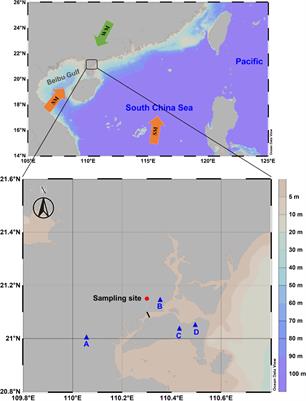 The removal of atmospheric aerosols in a heavy industrial coastal city in China with frequent rainfall